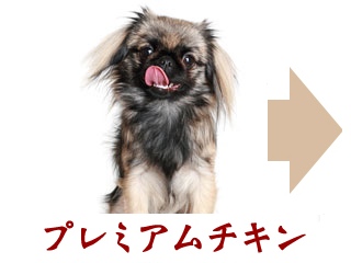 ネイティブドッグプレミアムチキン子犬用