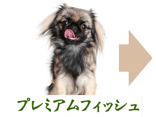 ネイティブドッグプレミアムフィッシュ